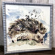 Langs Hedgehog Picture