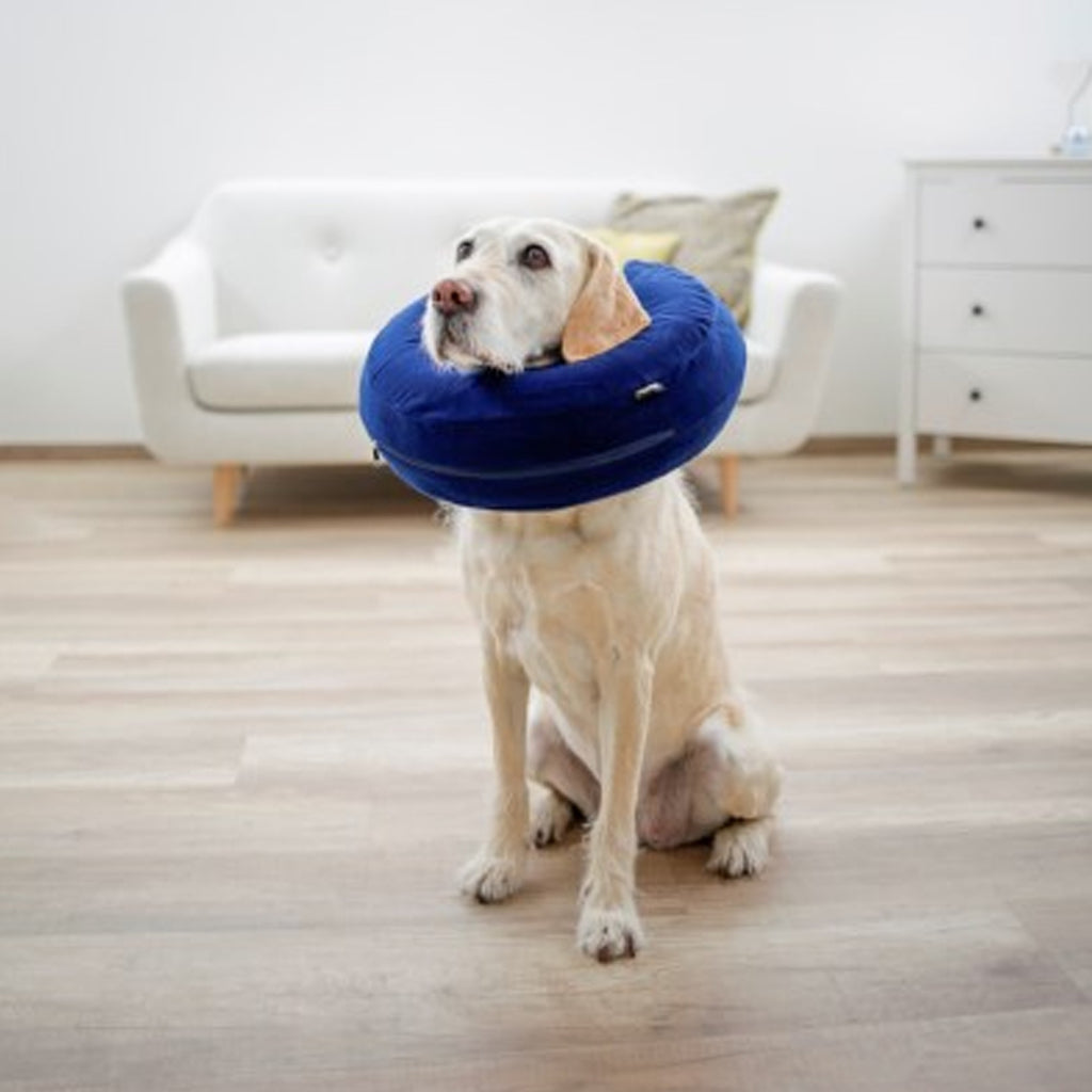 Kerbl Surgical Dog Collar - Blue