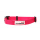 Doodlebone Originals Collar - Pink