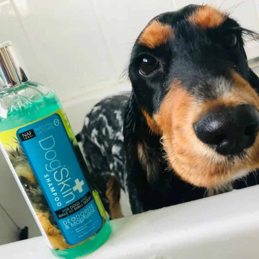 NVC Dog'Skin Shampoo - 300ml