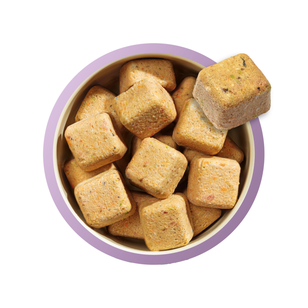 Natures Menu Turkey and Fish Puppy Nuggets - 1kg