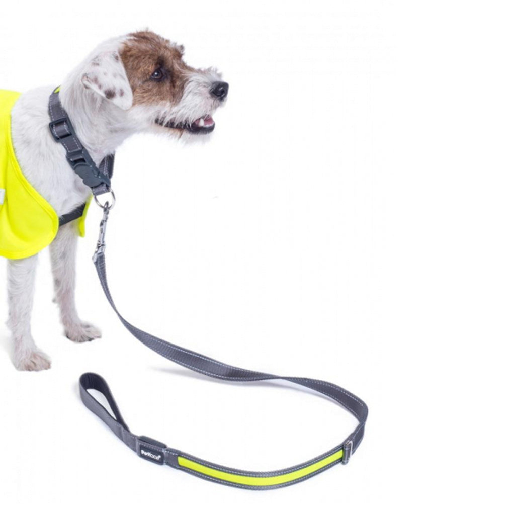 Petface Reflective Flashing Lead - Yellow