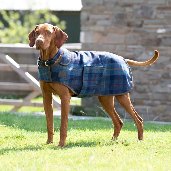 Digby and Fox Tweed Dog Coat - Navy