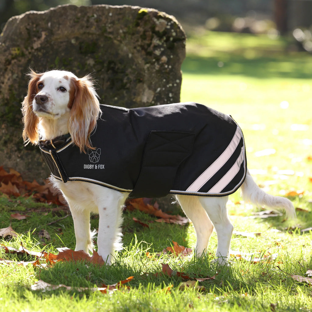 Digby & Fox Waterproof Dog Coat - Black