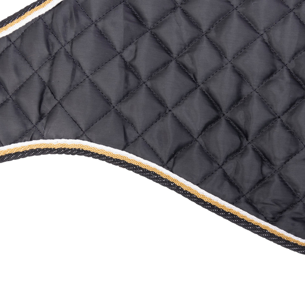 Digby & Fox Waterproof Dog Coat - Black