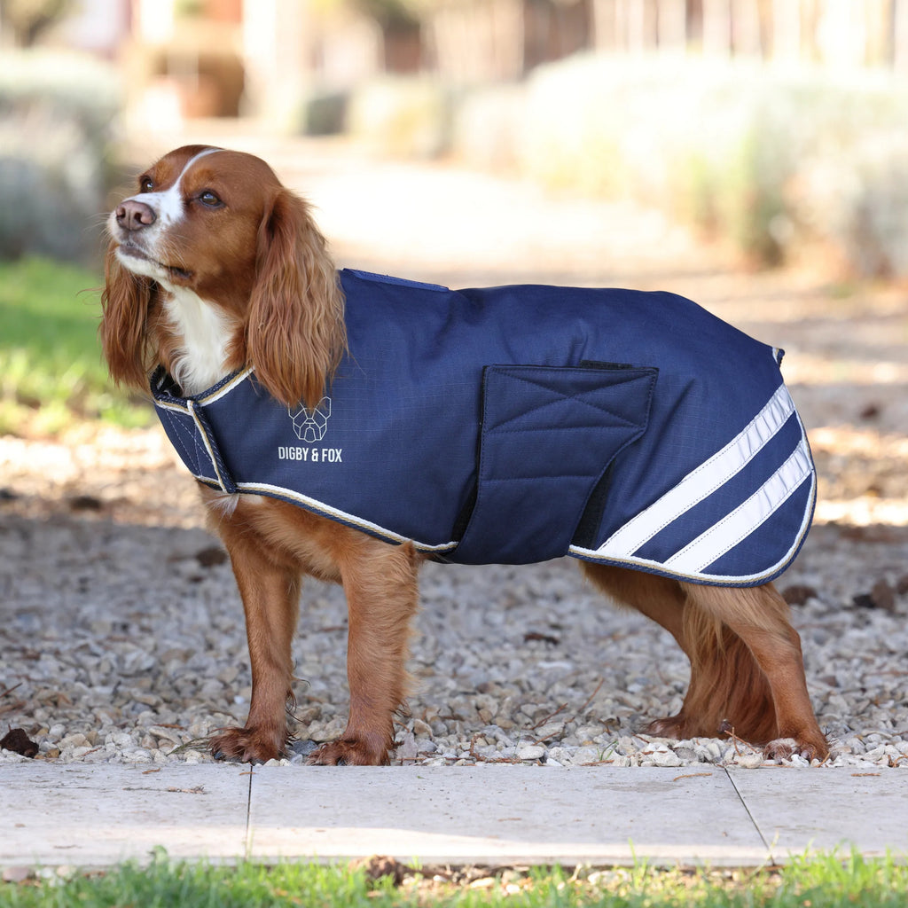 Digby & Fox Waterproof Dog Coat - Navy
