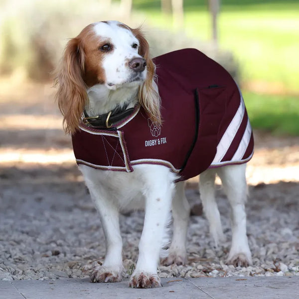 Digby and Fox Waterproof Dog Coat - Maroon