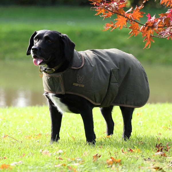 Digby and Fox Wax Coat - Olive