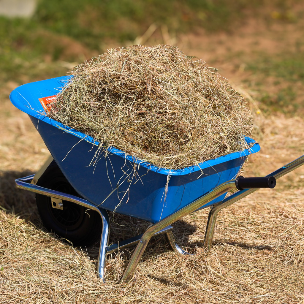 Carrimore 120 Litre Shifter Assesmbled Barrow - Blue
