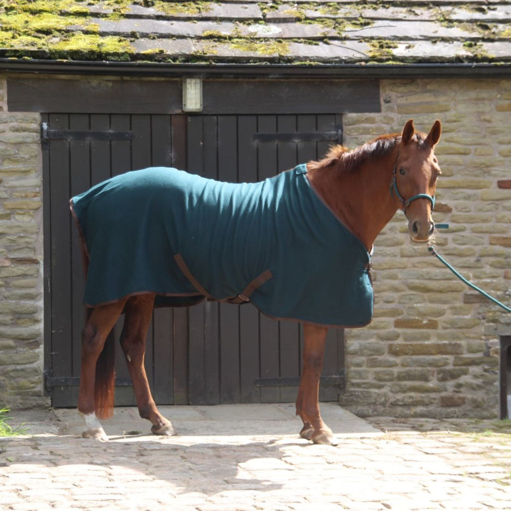 Cameo Fleece Show Rug - Evergreen