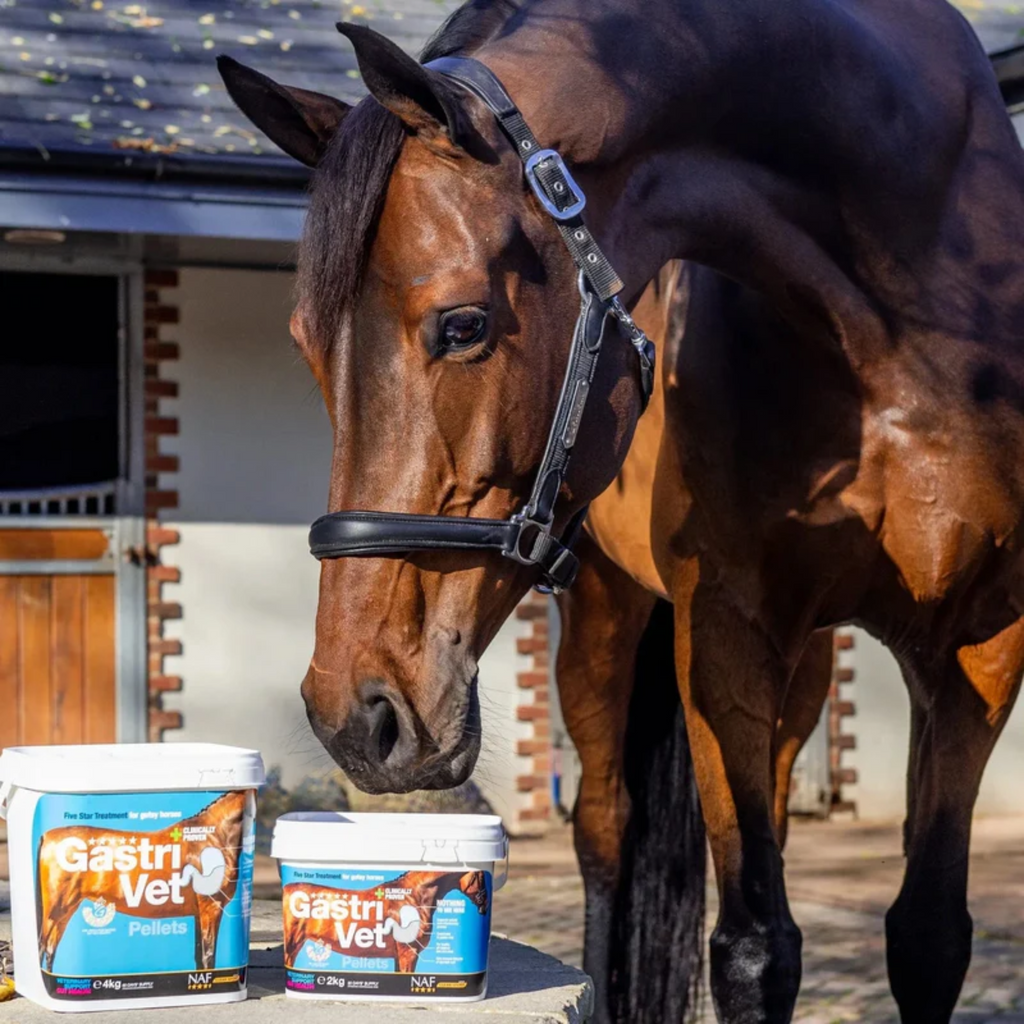NAF Five Star GastriVet - 2kg