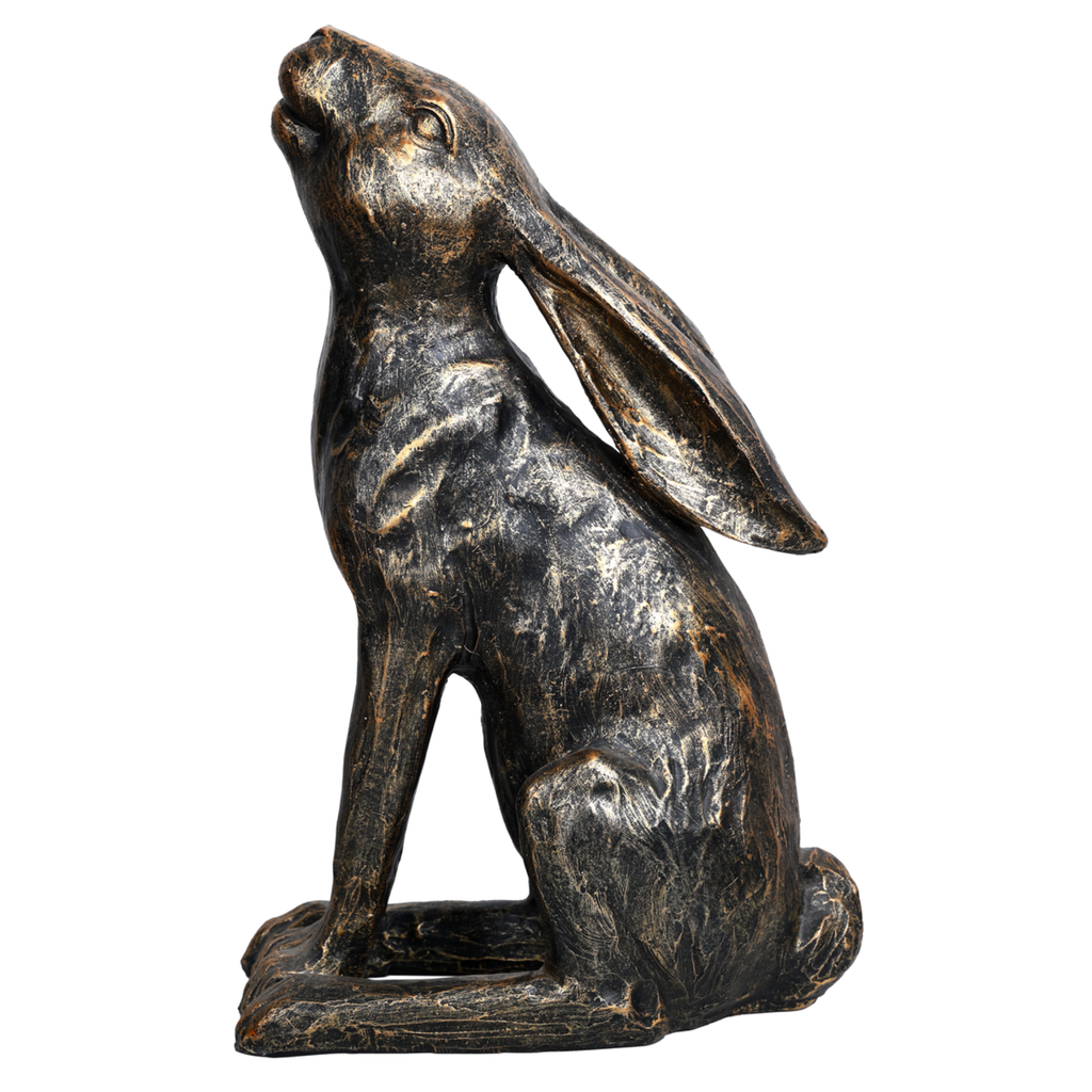 Harry Stargazing Hare