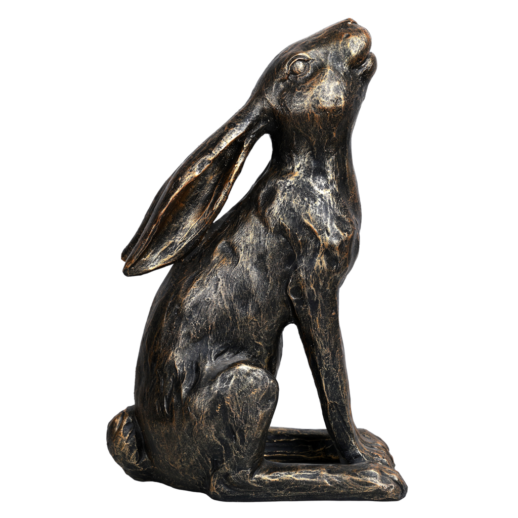Harry Stargazing Hare