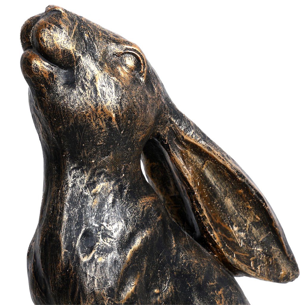 Harry Stargazing Hare