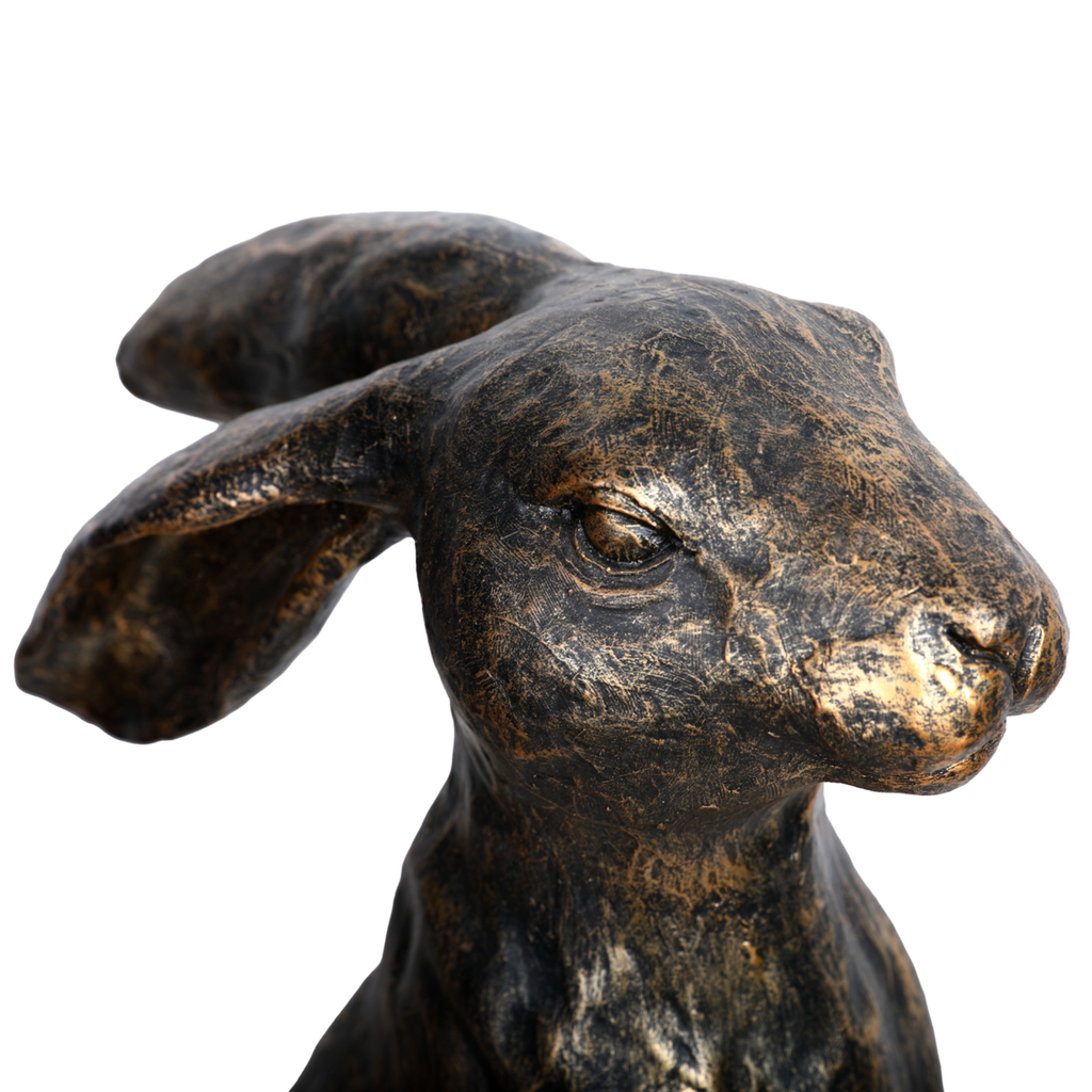 Henry Sitting Hare