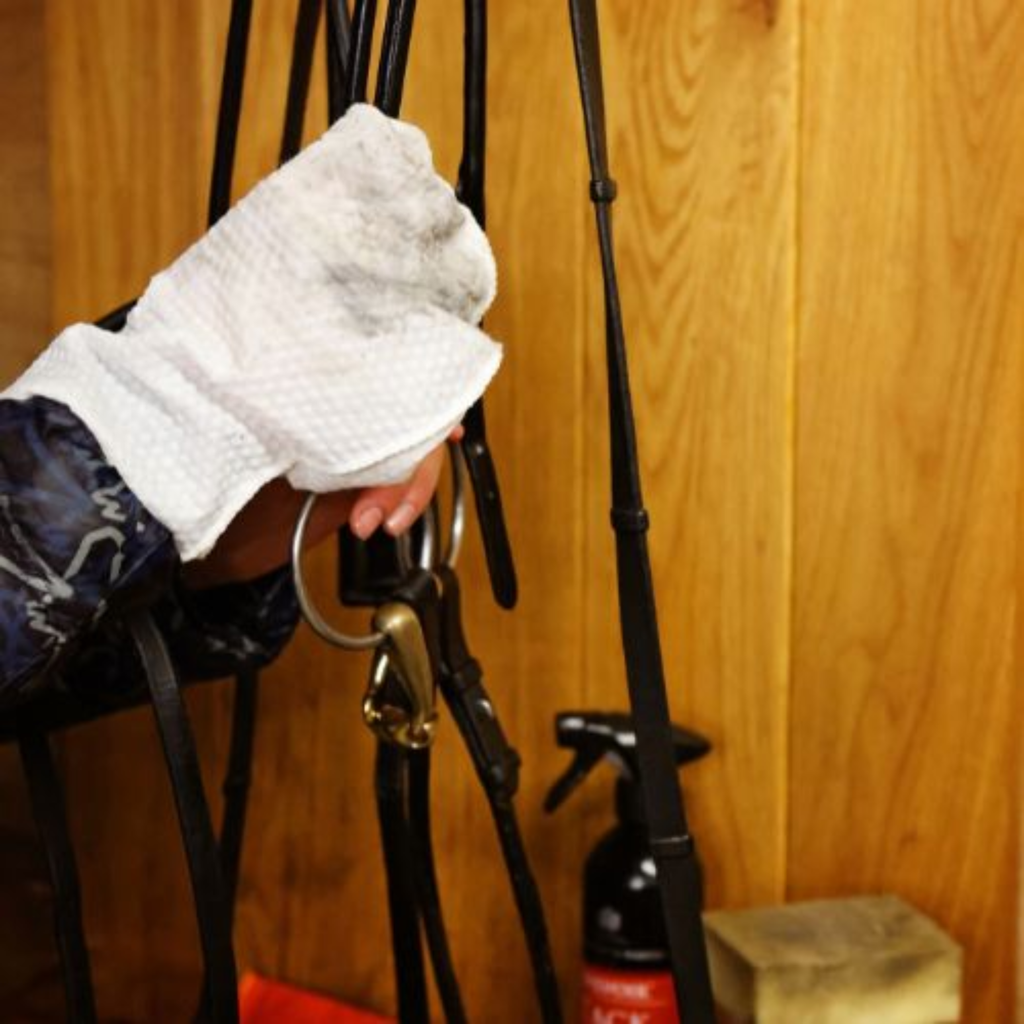 Carr Day Martin Belvoir Step 1 Tack Cleaner Mitt - 10 Pack