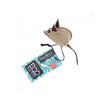 Mike Mouse Dog Toy