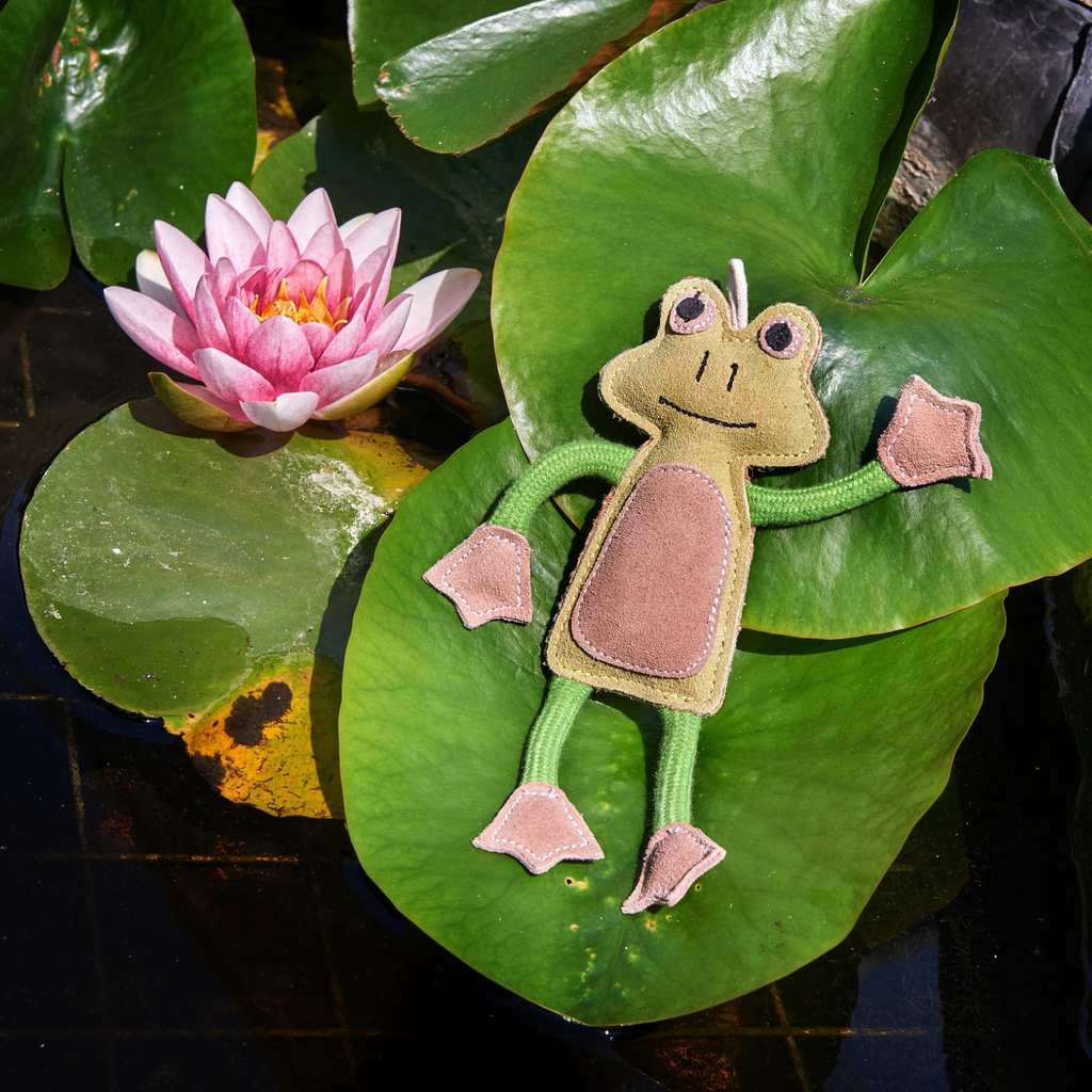 Green and Wilds Framcois Le Frog Dog Toy