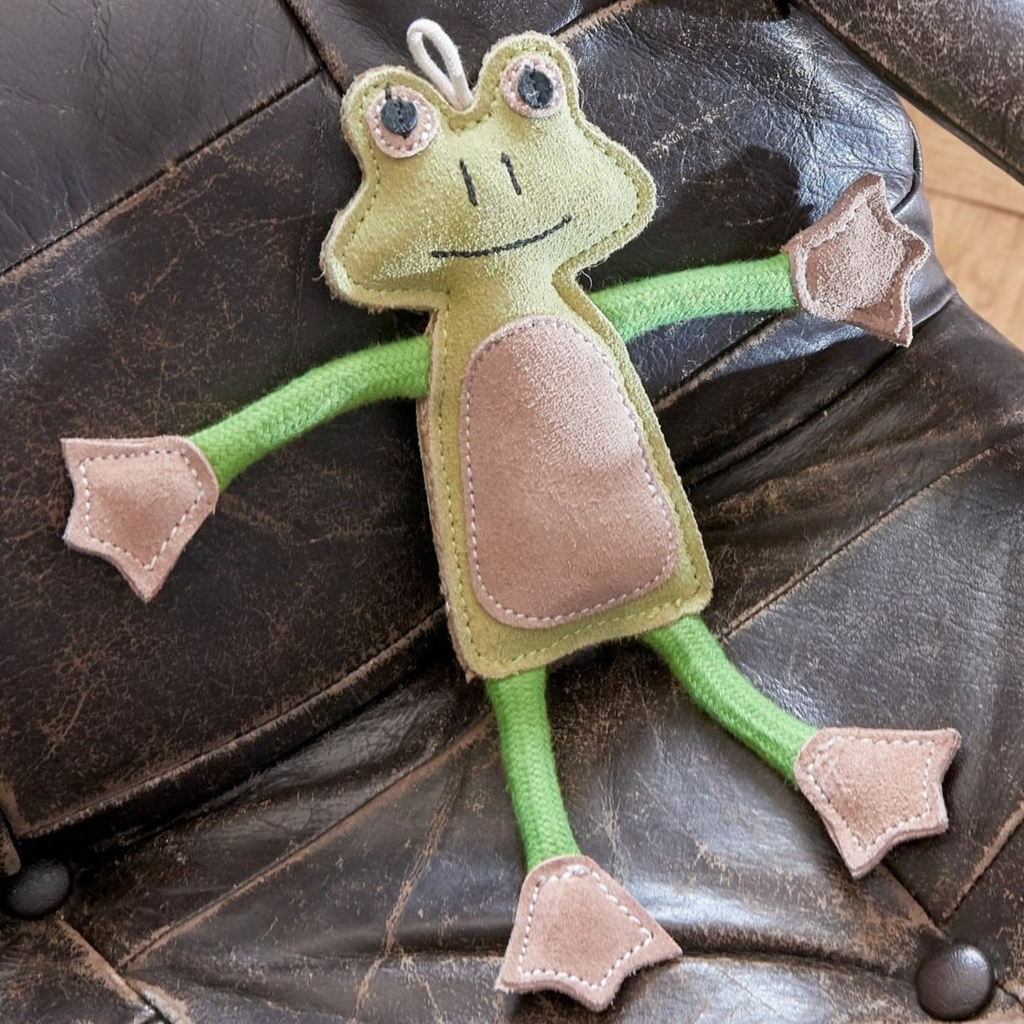 Green and Wilds Framcois Le Frog Dog Toy