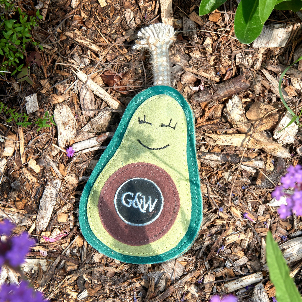 Green and Wilds Audrey The Avocado Dog Toy