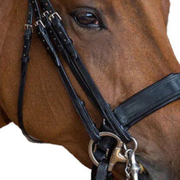 Fairfax Bridle Double Cheek Piece - Black