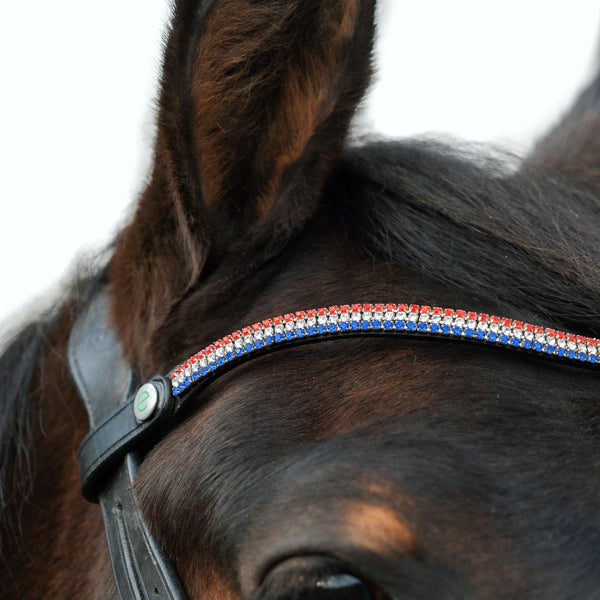 EcoRider Freedom Clasp Browband - Victoria Black