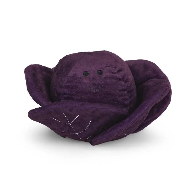 Petface Foodie Faces Ruby Red Cabbage