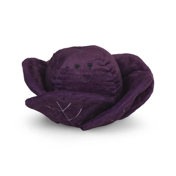 Petface Foodie Faces Ruby Red Cabbage