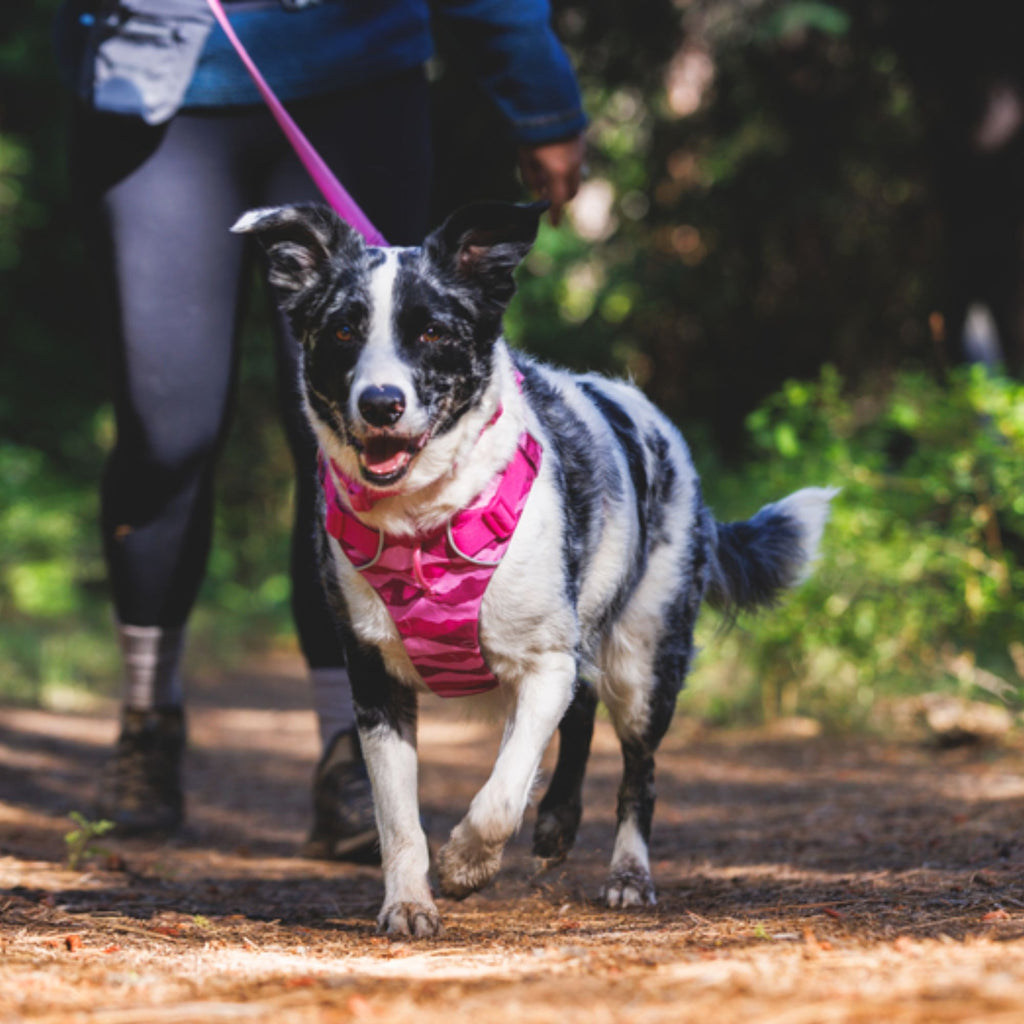 Ruffwear Front Range Harness - Pink Mountains
