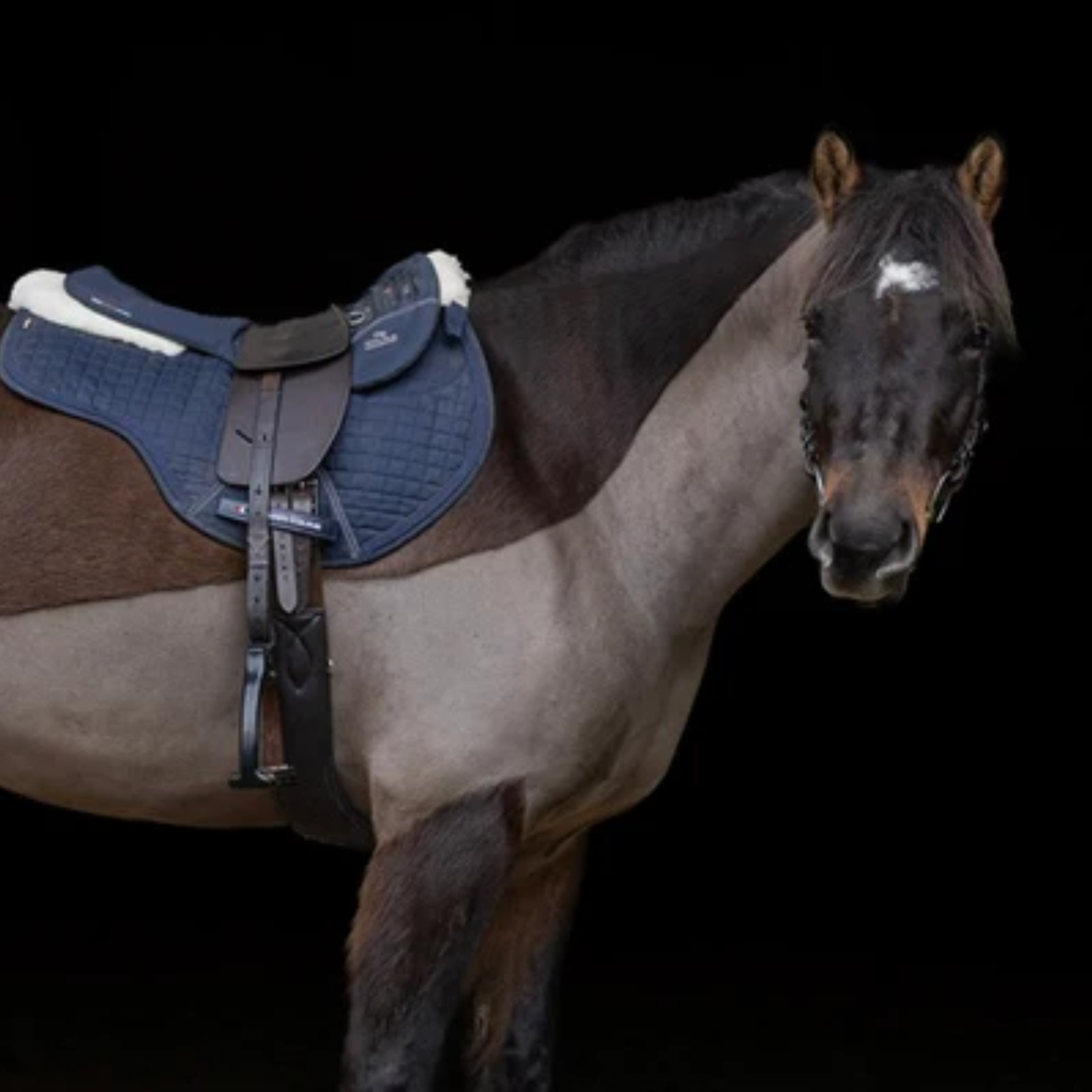Total Contact Saddles Treeless Classic Short Billet Saddle - Havana Brown