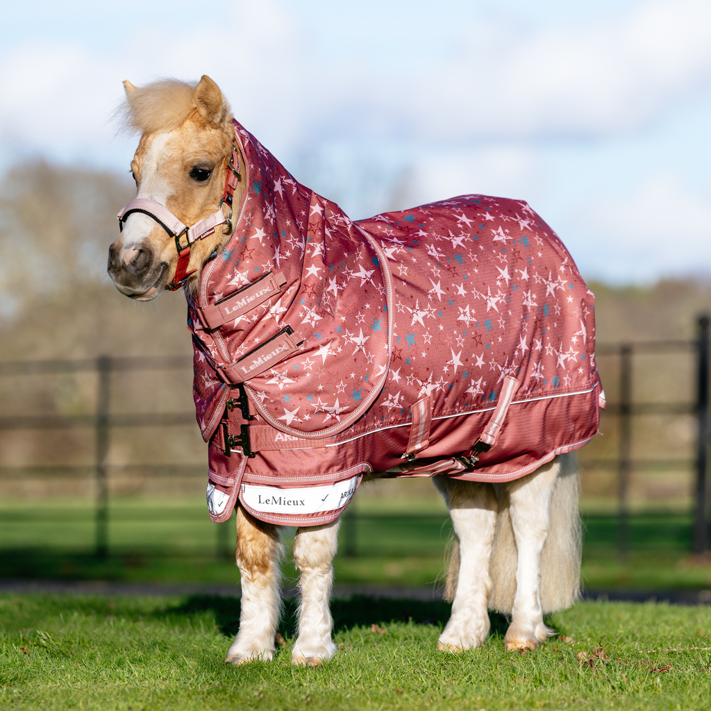 LeMieux Arika Star Turnout Rug 0g - Spiced Earth