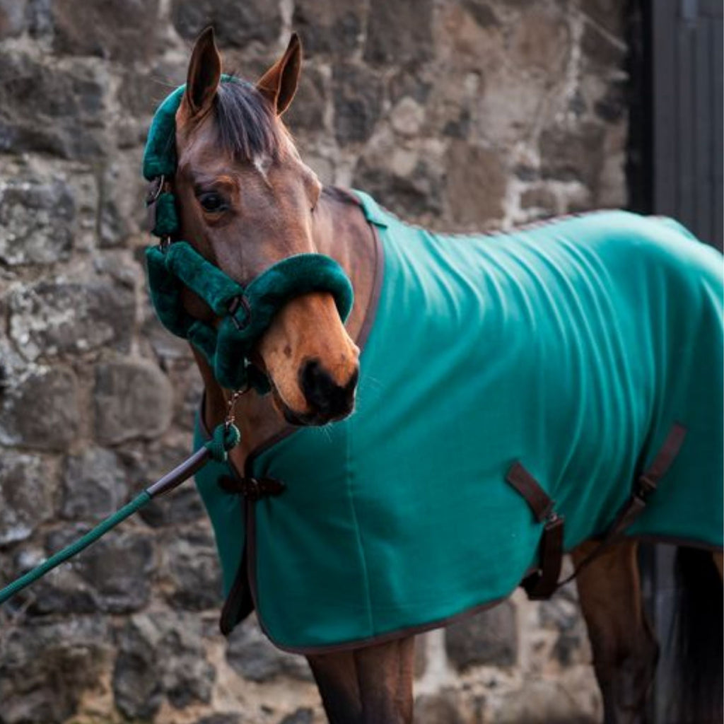 Cameo Fleece Show Rug - Evergreen