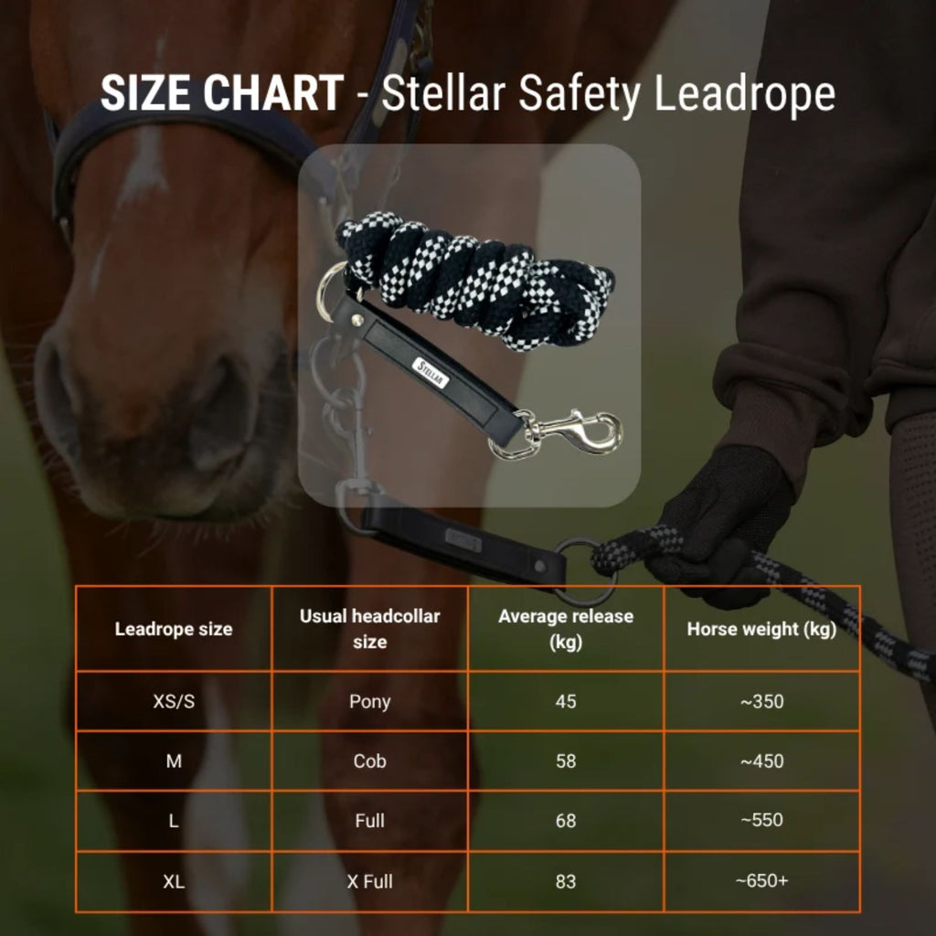Equilibrium Stellar Safety Leadrope
