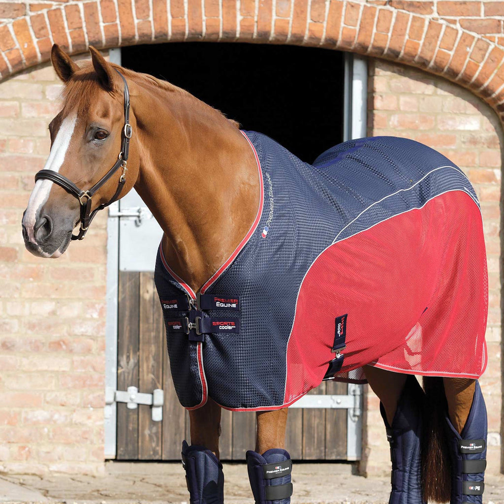 Premier Equine Sports Cooler - Navy