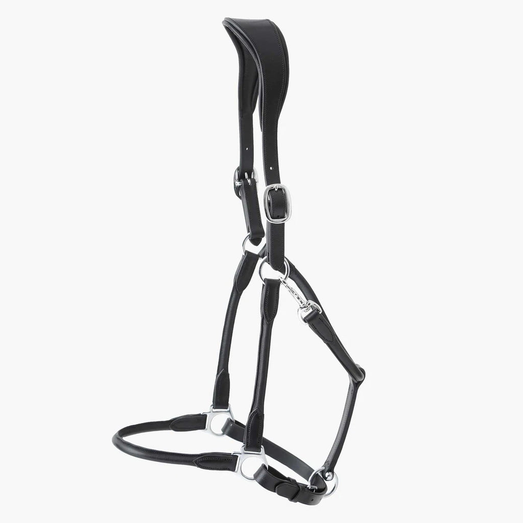 Premier Equine Hennaroso Rolled Anatomic Leather Head Collar - Black