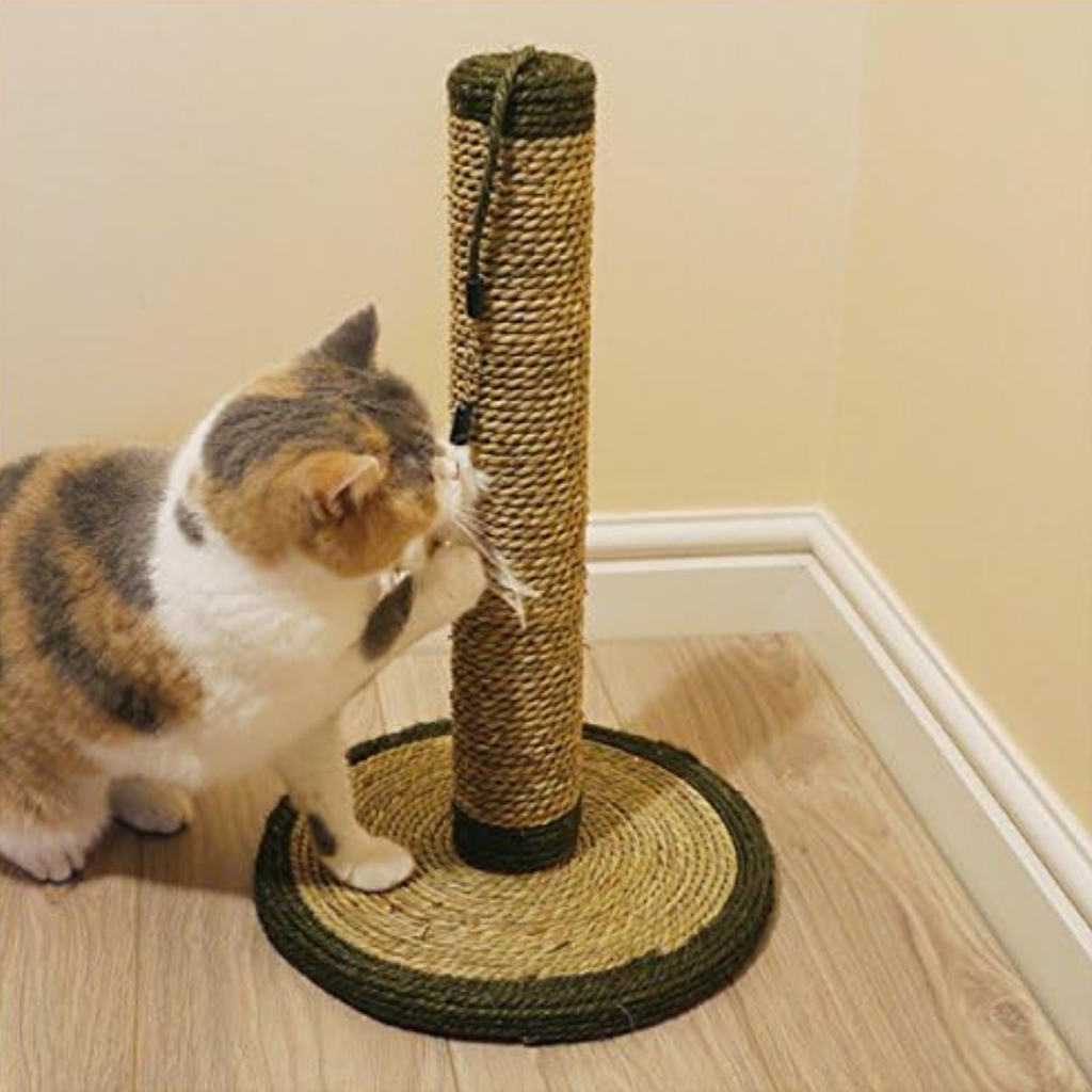 Rosewood Seagrass Cat Post