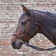 Waldhausen Knotted Halter with Reins - Black