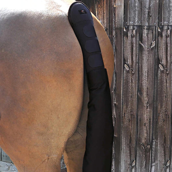 Premier Equine Padded Tail Guard with Tail Bag - Black