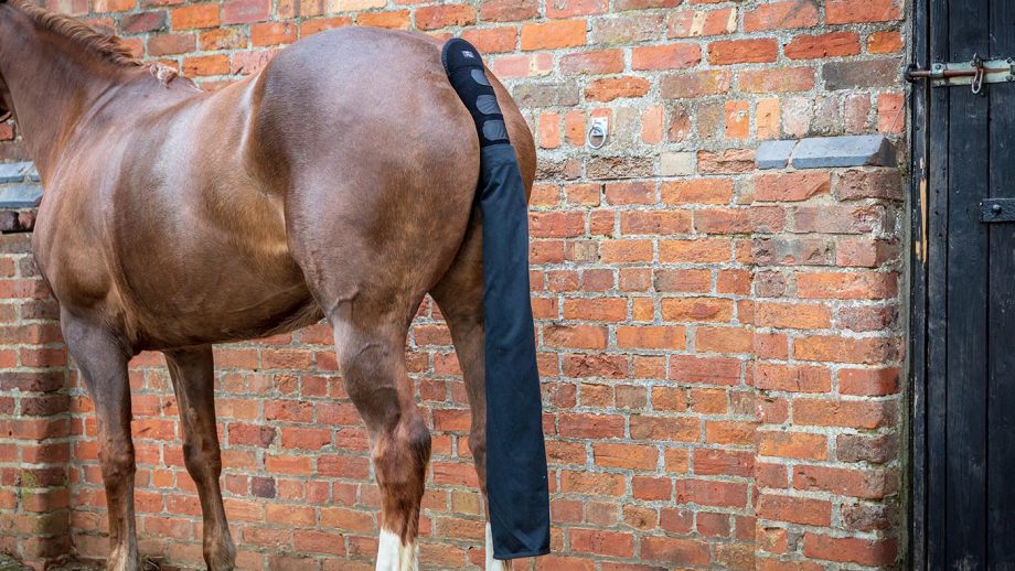 Premier Equine Padded Tail Guard with Tail Bag - Navy