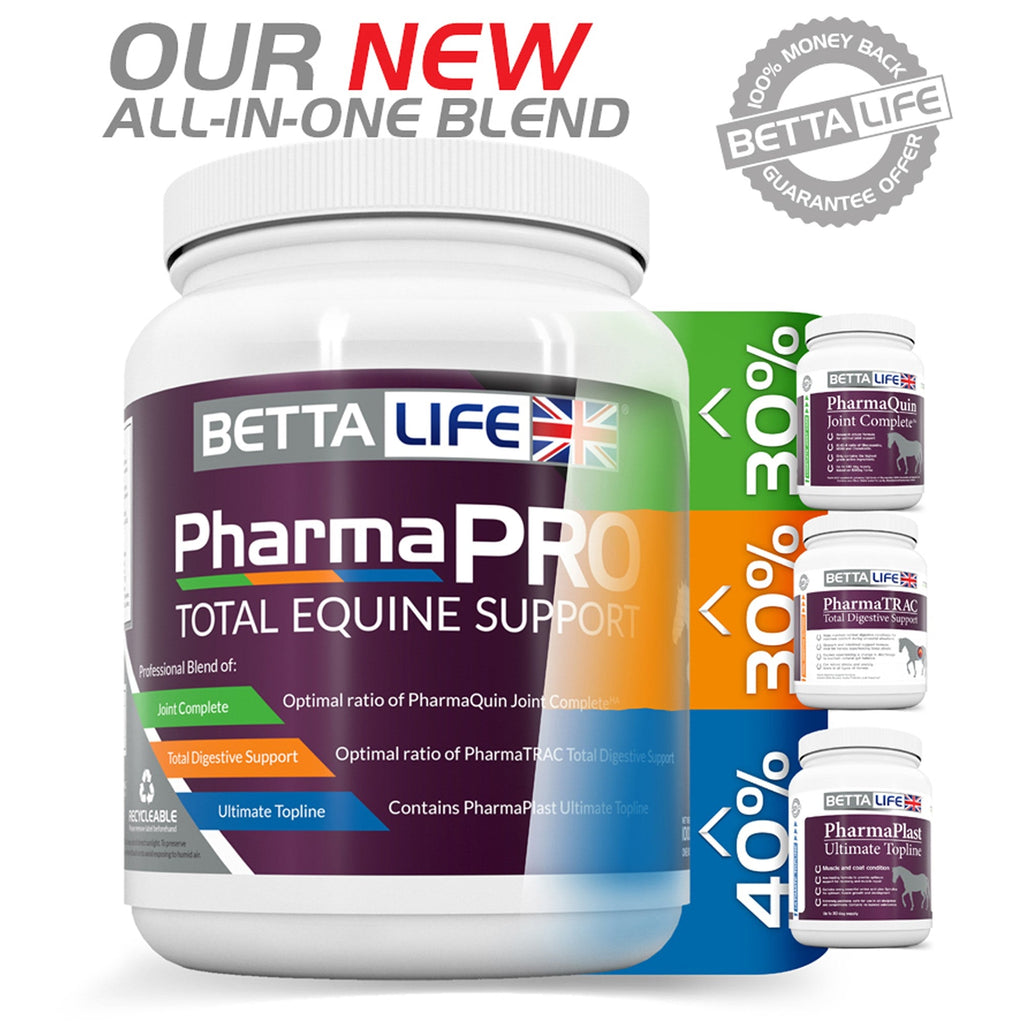 Bettalife Pharma Pro Total Equine Supplement