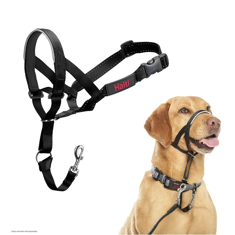 Halti Headcollar - Black
