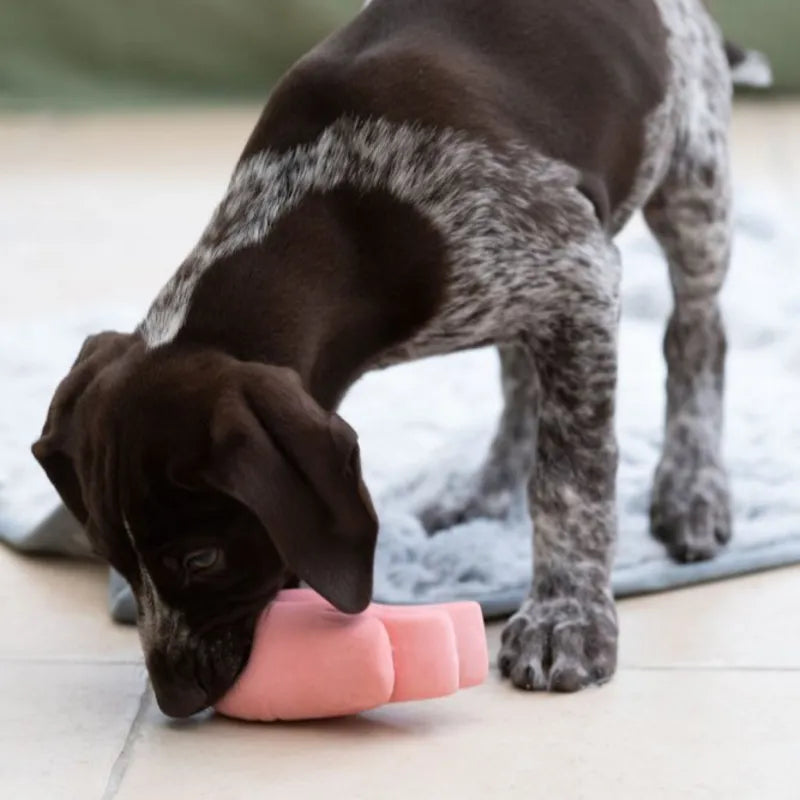 Petface Shrimpy the Sweet Latex Dog Toy