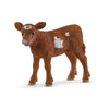 Texas Longhorn Calf