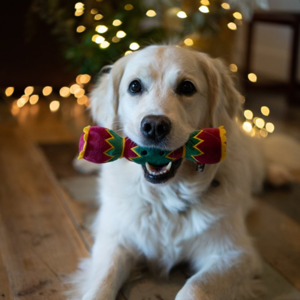Petface Carys Cracker Plush Christmas Dog Toy