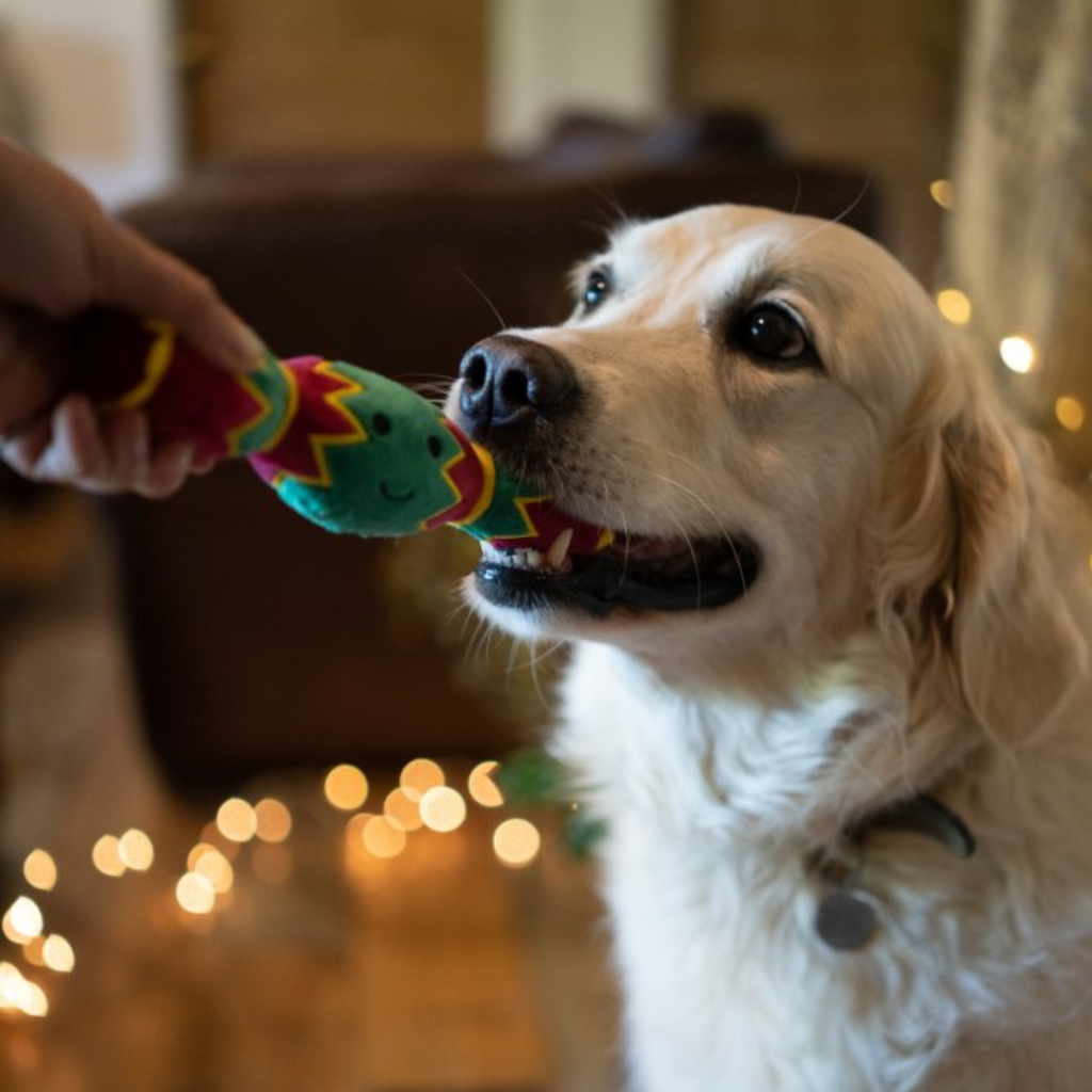 Petface Carys Cracker Plush Christmas Dog Toy