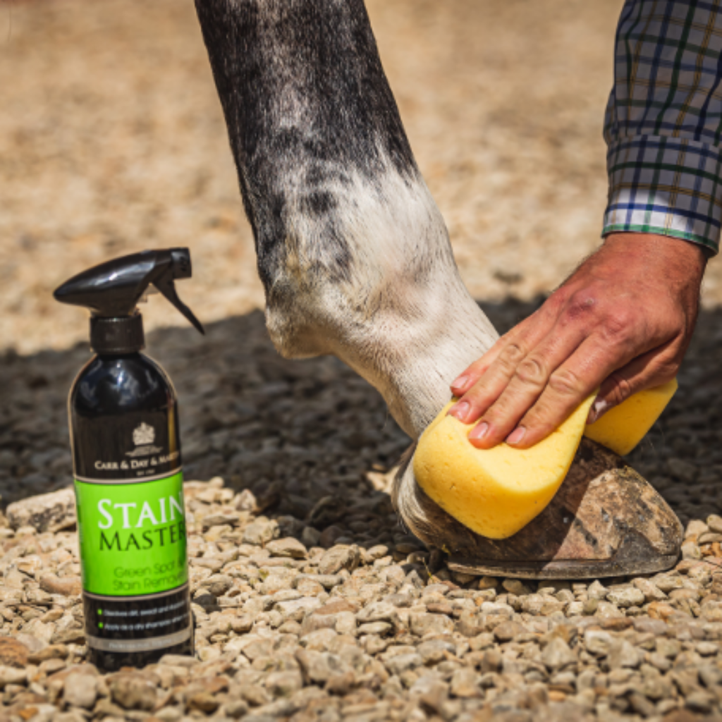 Carr Day Martin Stain Master Green Spot Remover - 500ml