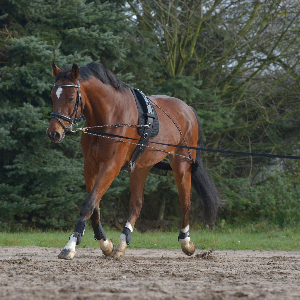 Mackey Lunging System - Black