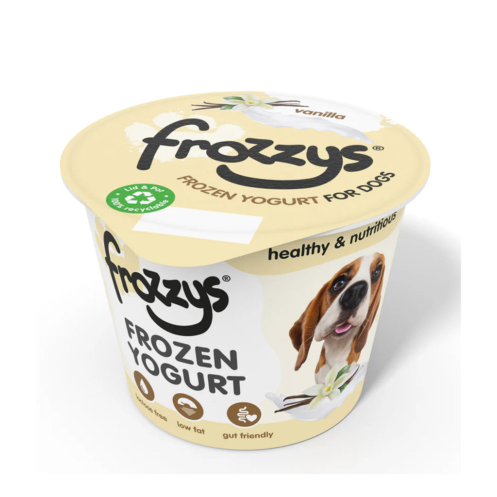 Frozzys Frozen Yogurt - Original
