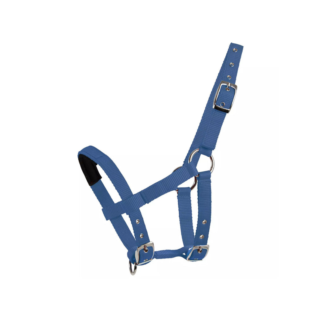 Mackey Mini Shetland Halter - Azure Blue