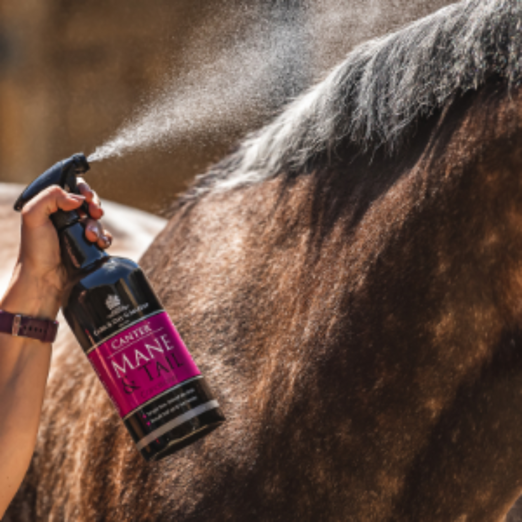 Carr Day Martin Canter Mane and Tail Conditioner